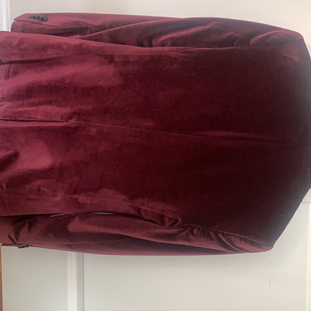 Velvet blazer - Picture 4 of 4